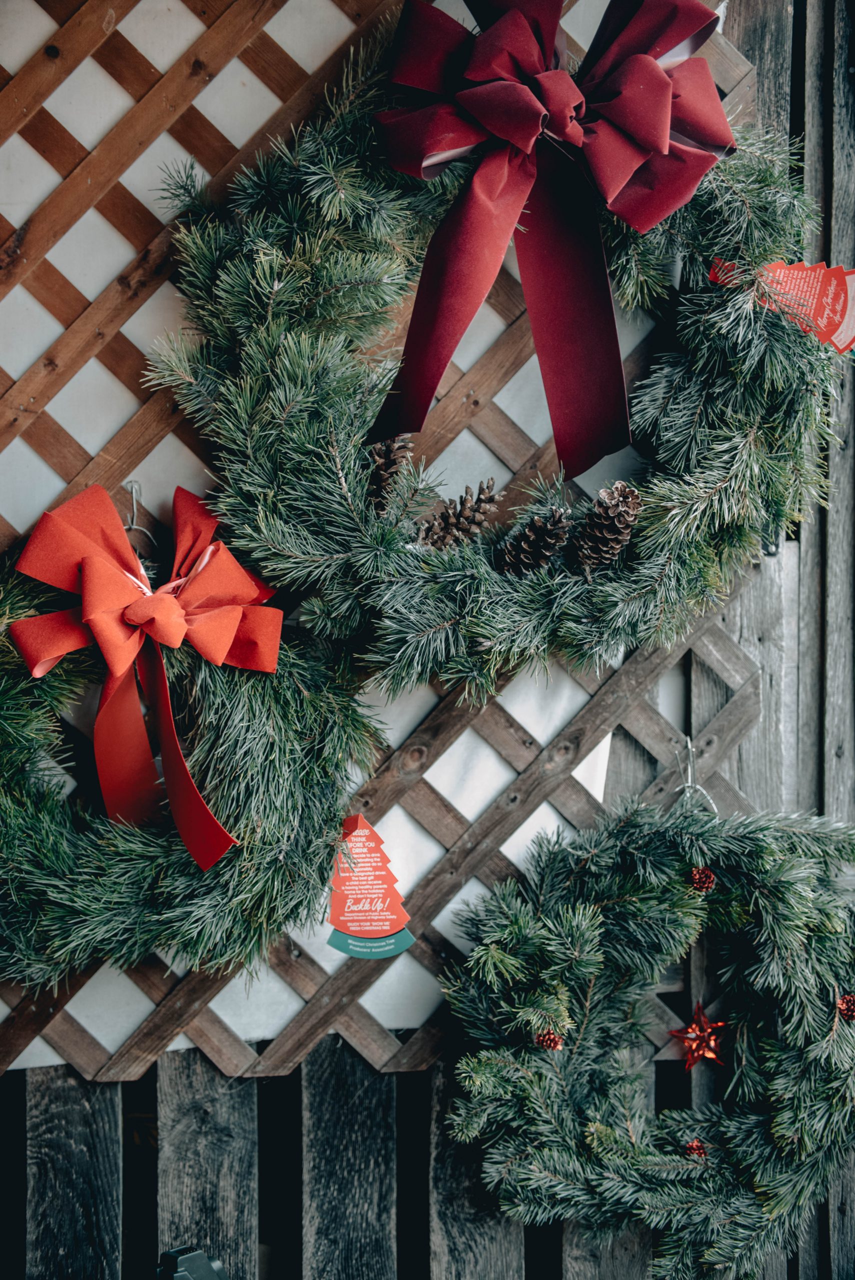 Red-bowed wreaths hanging on a white lattice